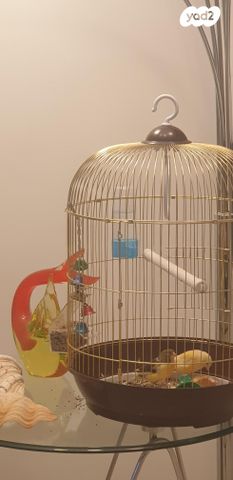 תמונת מודעה - חיות מחמד