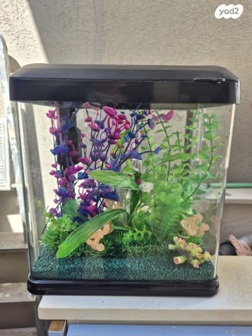 תמונת מודעה - חיות מחמד