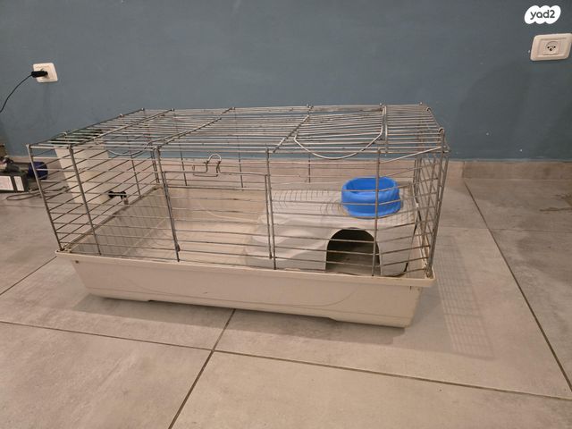 תמונת מודעה - חיות מחמד