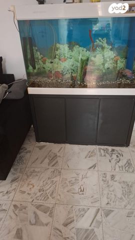 תמונת מודעה - חיות מחמד