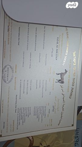 תמונת מודעה - חיות מחמד