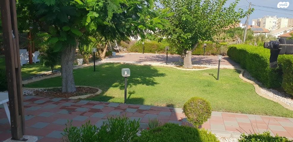 יפתח הגלעדי 53