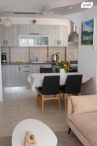 לוי אשכול 11