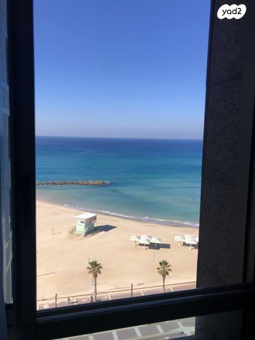 דוד אלעזר 10