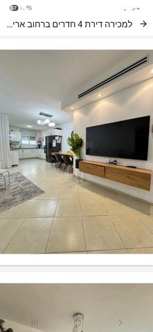 אריה צימוקי 14