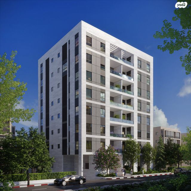 לוי אשכול 11