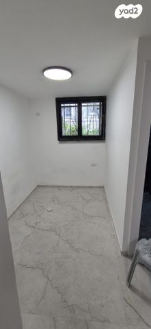 דוד שמעוני 14