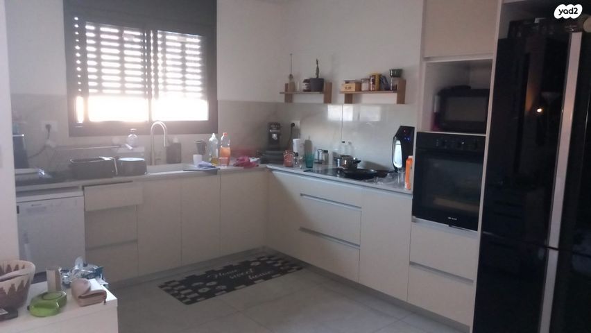 חורשת האקליפטוס 167