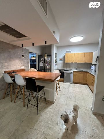 משה וילנסקי 10