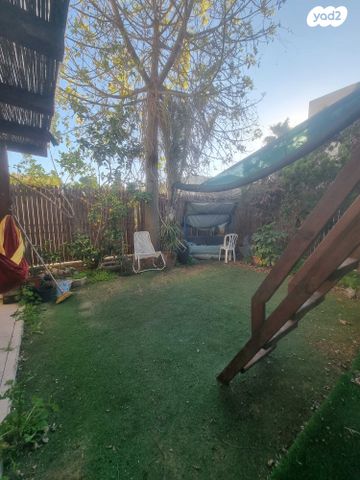 כחלית ההרים 15