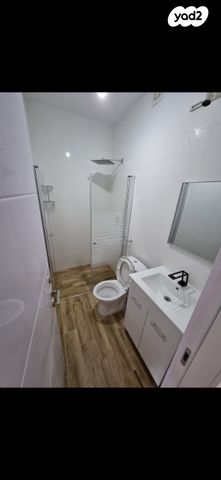 אריה בן אליעזר 44