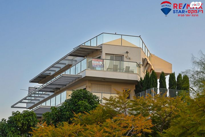 פנחס רוזן 52