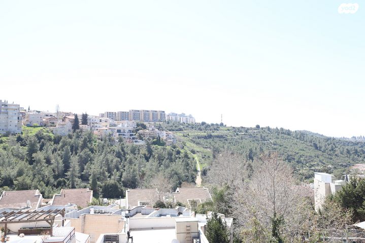 עין חמד (י"א)