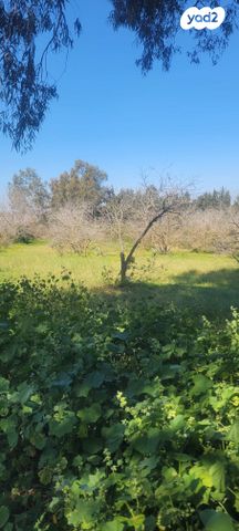 משק חקלאי/ נחלה