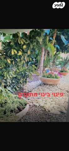 דירה, אברמוביץ', ראשון לציון