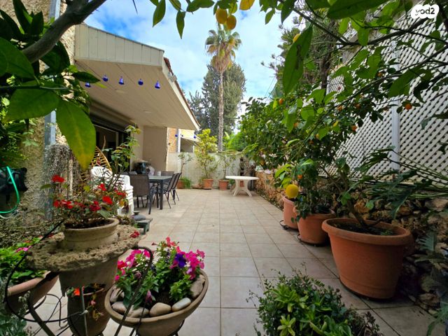 לסטר/רבוצקי