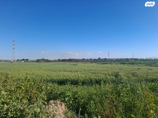 משק חקלאי/ נחלה