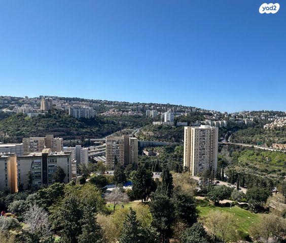 דירה, יזרעאליה, חיפה