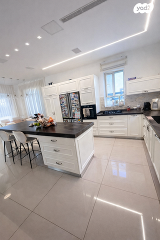 דוד וולפסון 