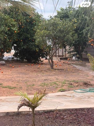 מודעת נכס, ינוב, ינוב