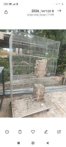 תמונת מודעה - חיות מחמד