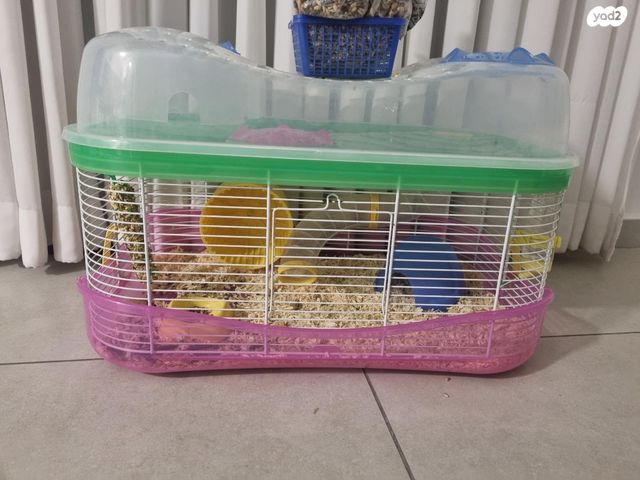 תמונת מודעה - חיות מחמד