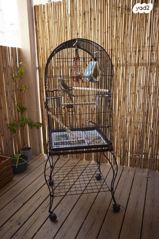 תמונת מודעה - חיות מחמד