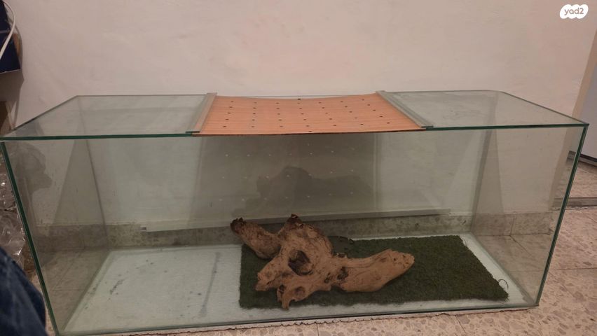 תמונת מודעה - חיות מחמד