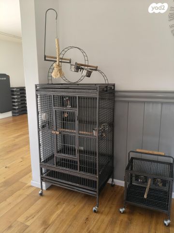 תמונת מודעה - חיות מחמד