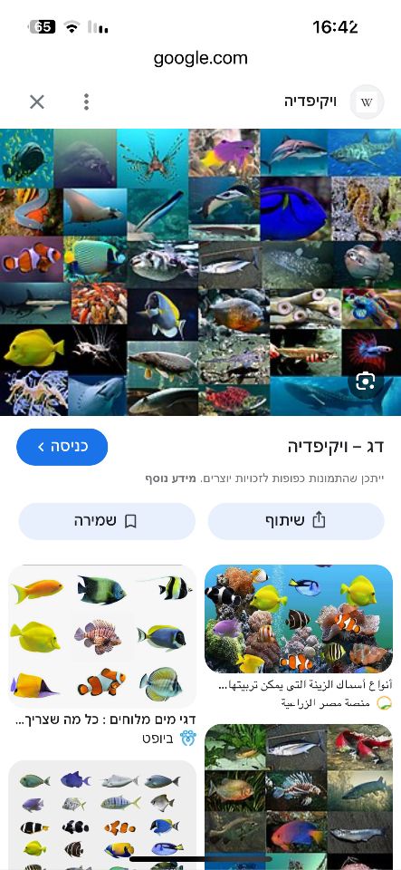 תמונת מודעה - חיות מחמד