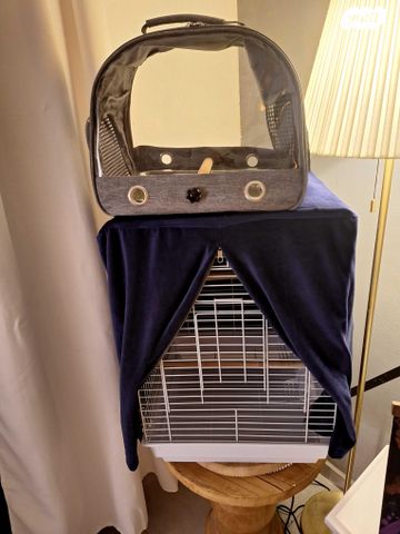 תמונת מודעה - חיות מחמד