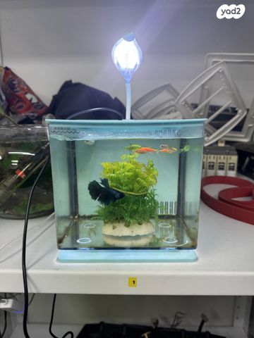 תמונת מודעה - חיות מחמד