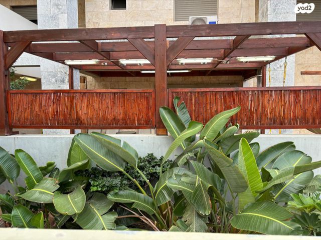 יצחק בן צבי 8