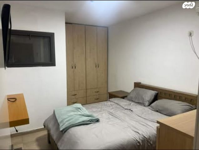 מבצע ענבי זעם 17