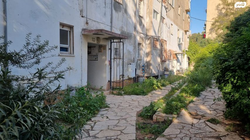 בודנהיימר 10