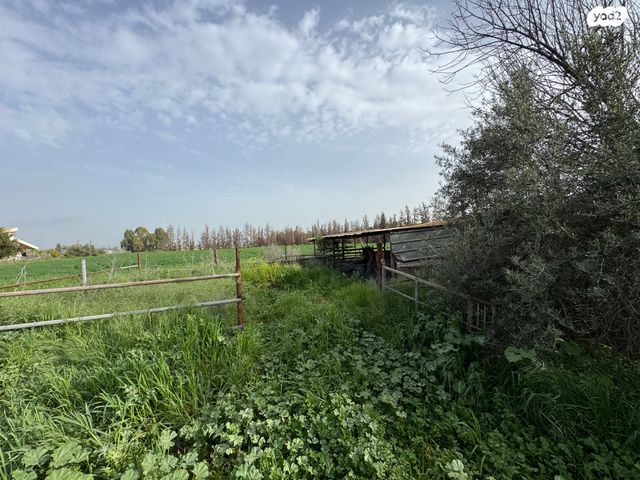 משק חקלאי/ נחלה