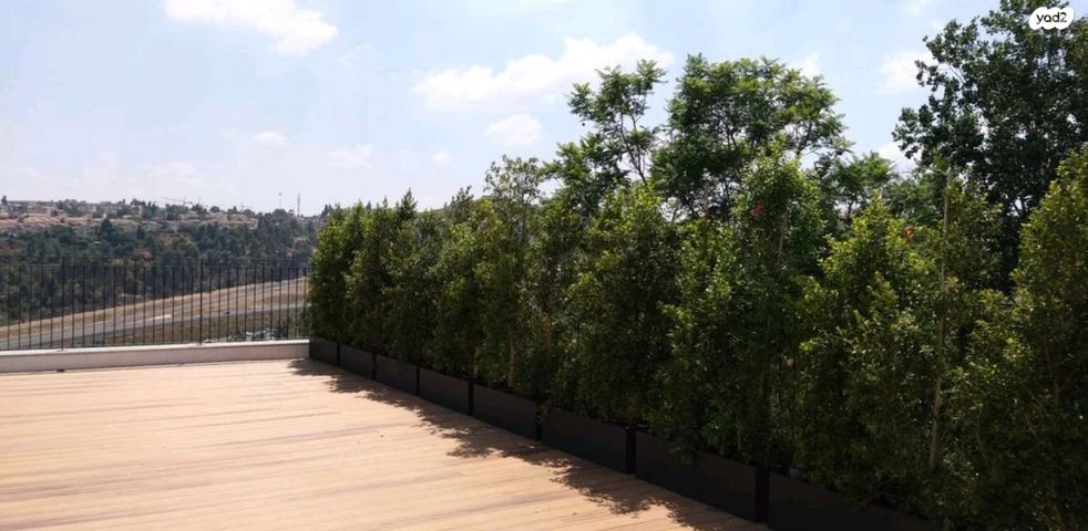 מבשרת ירושלים