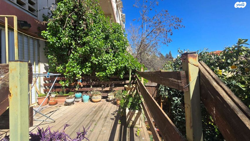 בן גוריון כנען