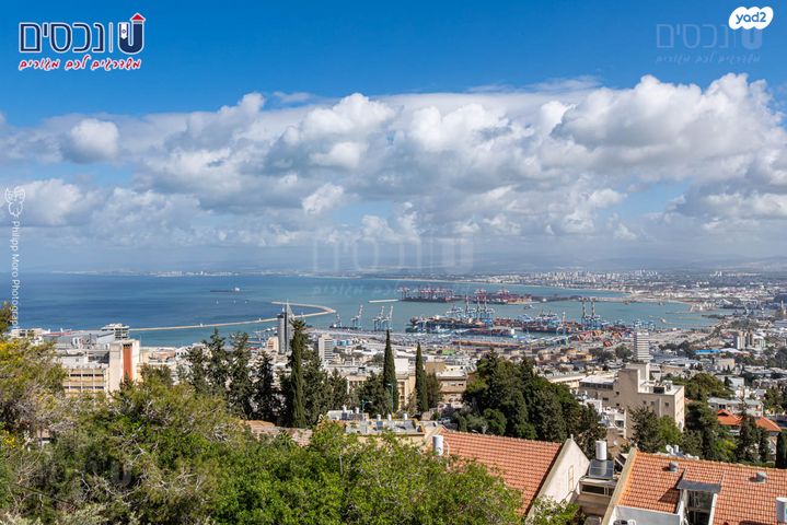 כרמל מרכזי - שד' קיש