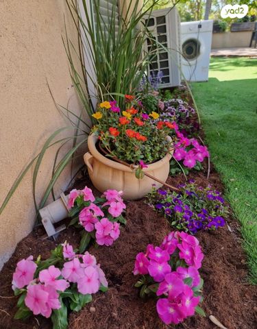 גבעת הסלעים