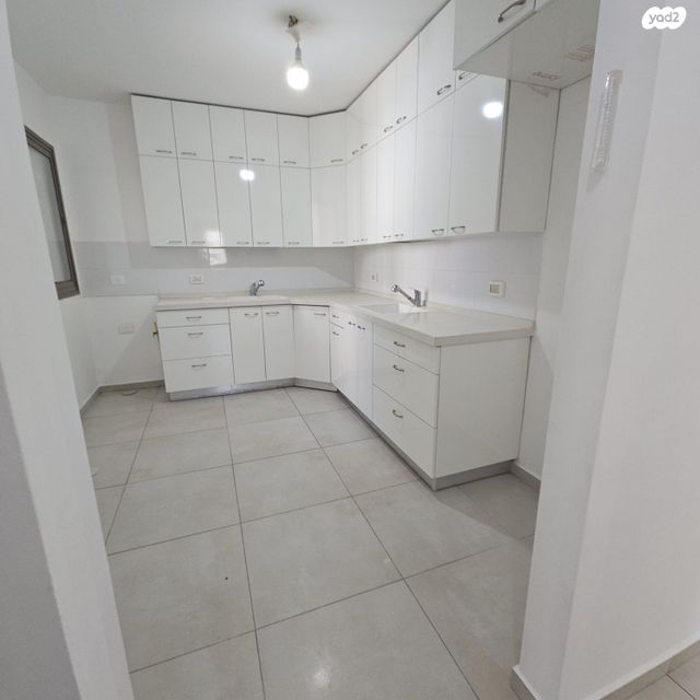 אלישע הנביא 