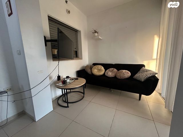 יצחק בן צבי 