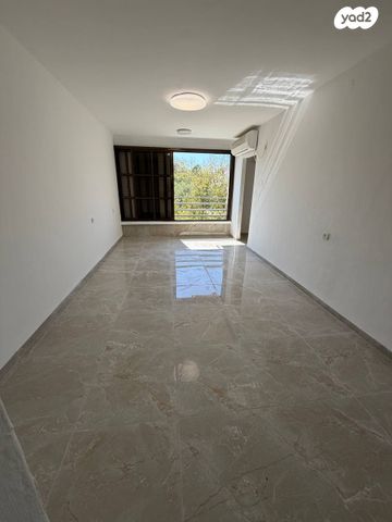 יצחק בן צבי 