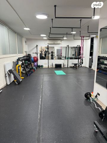 סטודיו, חיפה