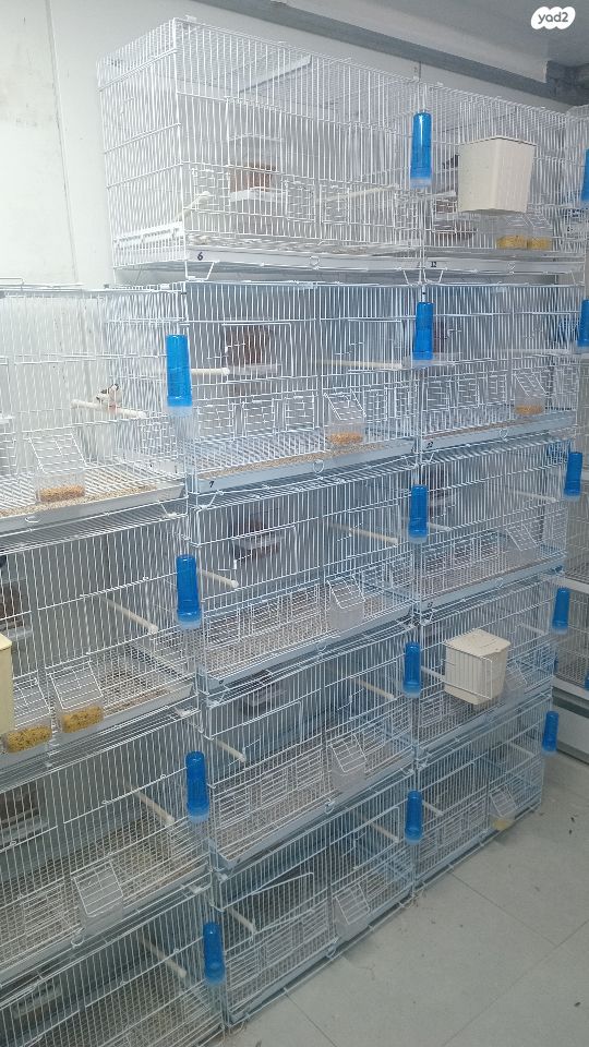 תמונת מודעה - חיות מחמד