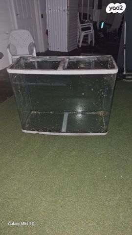 תמונת מודעה - חיות מחמד