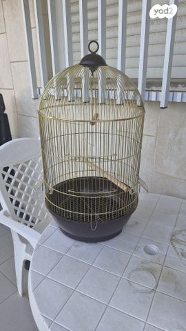 תמונת מודעה - חיות מחמד