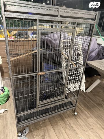 תמונת מודעה - חיות מחמד