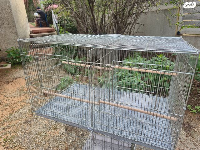 תמונת מודעה - חיות מחמד