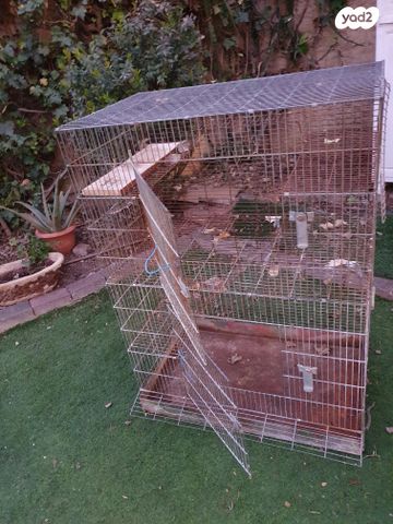 תמונת מודעה - חיות מחמד